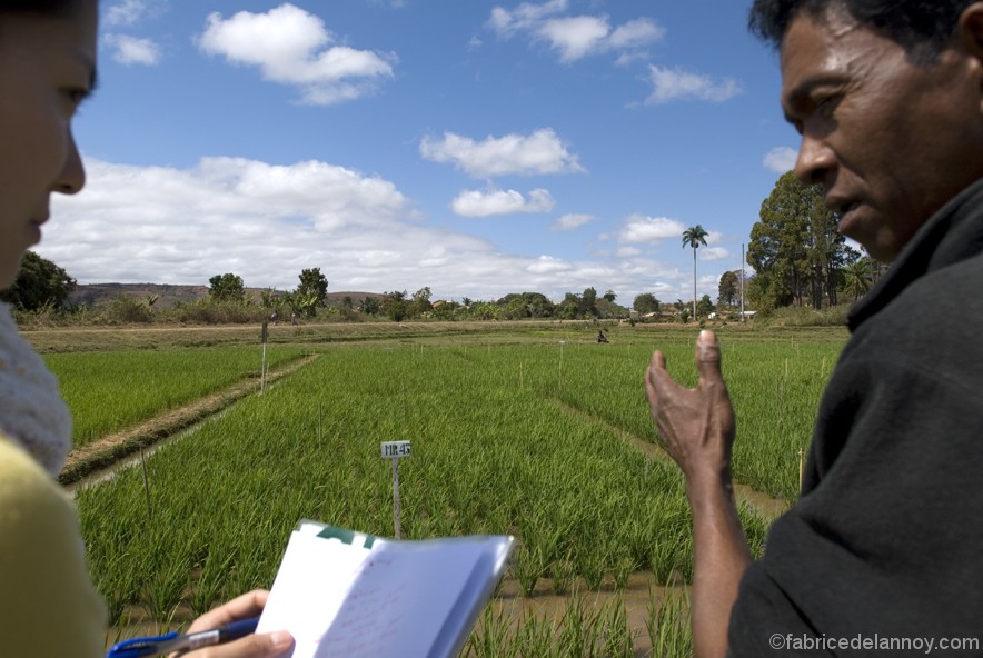 Un reportage pour l’ONG JICA réalisé dans la région de l’Alaotra à Ambatondrazaka