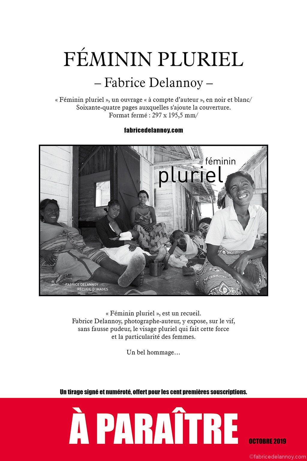 Sortie du livre « Féminin pluriel » de Fabrice Delannoy
